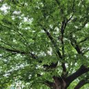 송가정의학과의원 이미지