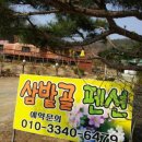 푸른 마가렛 | 포천 펜션 추천, 푸른 자연 속 힐링 대명사 '삼밭골펜션' 대만족 투숙 후기