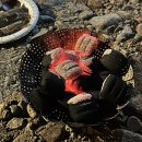 딴산노을 이미지