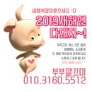 진주혁신휴앤인엘리시움 102동 맞은편 | 진주혁신 엘리시움 입주줄눈