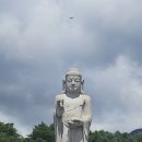 유가사주차장(신) | 추운 겨울에도 아름다운 꽃을 피운 오동나무로 사찰명이 바뀌었던 동화사(桐華寺)