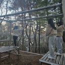 용인대석사비전태권도 이미지