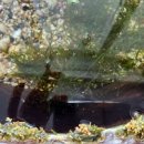 (주)동창정비 이미지