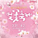 2023(3. 29~30) 부산 벚꽃 여행계획 이미지