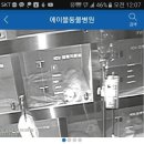 에이블 동물병원 이미지