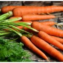 로그짐 잠실역점 이미지