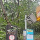 노작공원(홍사용) | 동탄 반석산 전망대 (강아지🐕‍🦺 산책로, 운동)