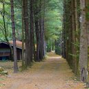 아버지의 숲 산정캠프 이미지