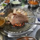 금박돈