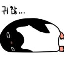 S휘트니스 양산헬스장 이미지