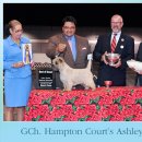 AKC`s Weekly Winners Gallery - September 29, 2010 이미지