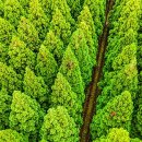 백제가요정읍사오솔길(2코스 내장호 수변데크) 이미지