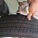 정미카센타 이미지