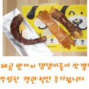 명랑견생 이미지