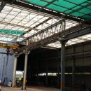 고향의봄길 이미지