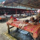 ㈜월드플러스여행사 | [인도네시아 마나도] 많이 알려지지 않은 동남아 이색 여행지 '마나도' 장단점 파헤치기