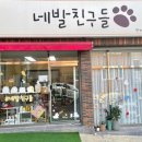 네발친구들 이미지