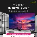 스프링팜코리아 이미지