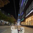 TLC 동물의료센터 이미지