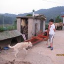 난정민박 이미지