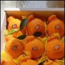 진수농장 이미지