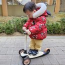 21세기 안전검사소 | 21세기 킥보드 안전한 접이식 유아킥보드 추천
