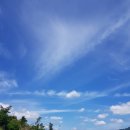 로얄포레CC 이미지