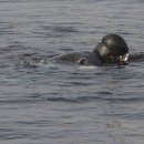 바다숨소리 이미지