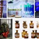 (주)피러스 이미지