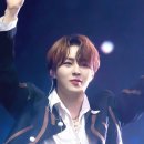 플레로마 이미지