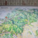 메니아크린 이미지