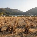 영원을위하여 이미지