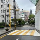 메디포올 이미지