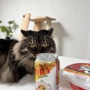 지에스25 성남주공점 이미지