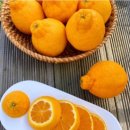 삼남매농장 이미지