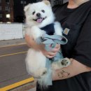 개구리게임장 이미지