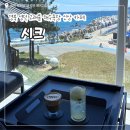 영덕 고래불 해수욕장 근처 카페 / ‘시크‘ 내돈내산 후기