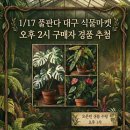 율이네마켓