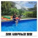 우리들밀알점 | 사회적농장 밀알 창원 아이와 가볼만한 곳 후기