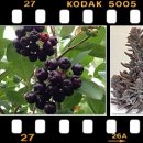 백암농장 이미지