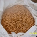 장작불 이야기 이미지