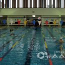 보령국민체육센터 수영장 이미지