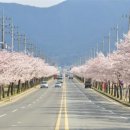 테마임도공원2 이미지