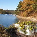 홍기와 모텔 이미지