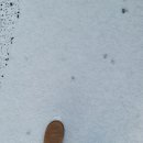 폴라리스야영장 이미지