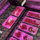 장수젊은한우영농조합 법인 이미지