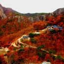 [선운산 신청] 소풍 가듯 즐기는 고창 선운산 단풍 154차 정기산행! 2025년 11월 23일 일요일! 이미지