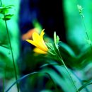 대지를 바라보며 이미지