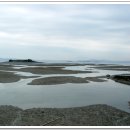 석포시장 이미지