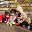 배곧새솔어린이집 Daum카페